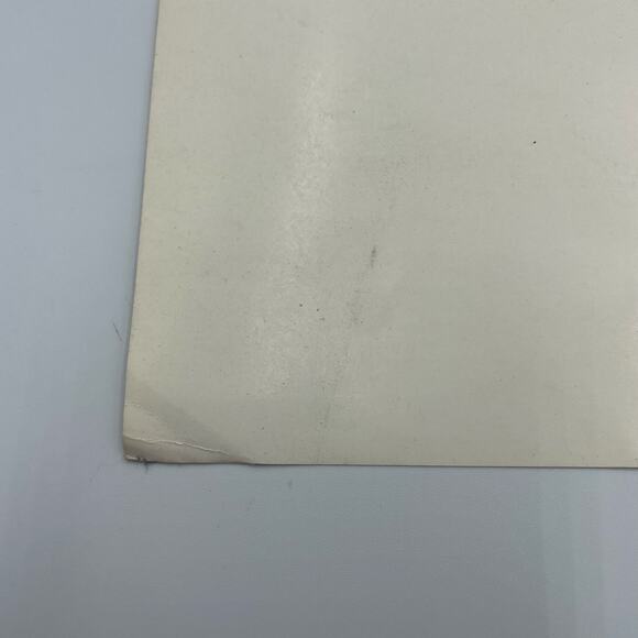 Alfred Sisley Garden in Louveciennes in the Snow Vintage Print 19" x 13" - Picture 7 of 12